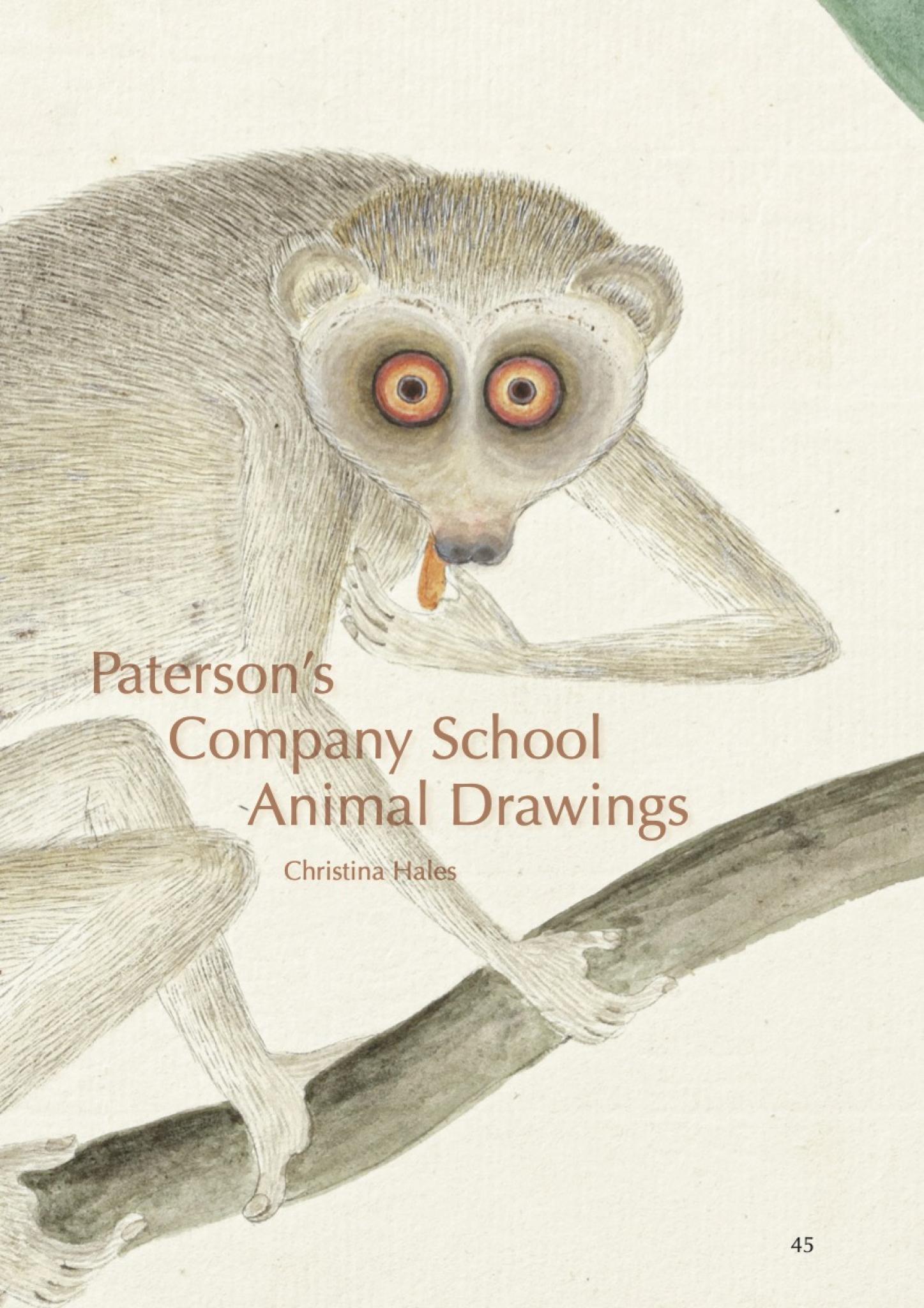New: Patersons Company School Drawings