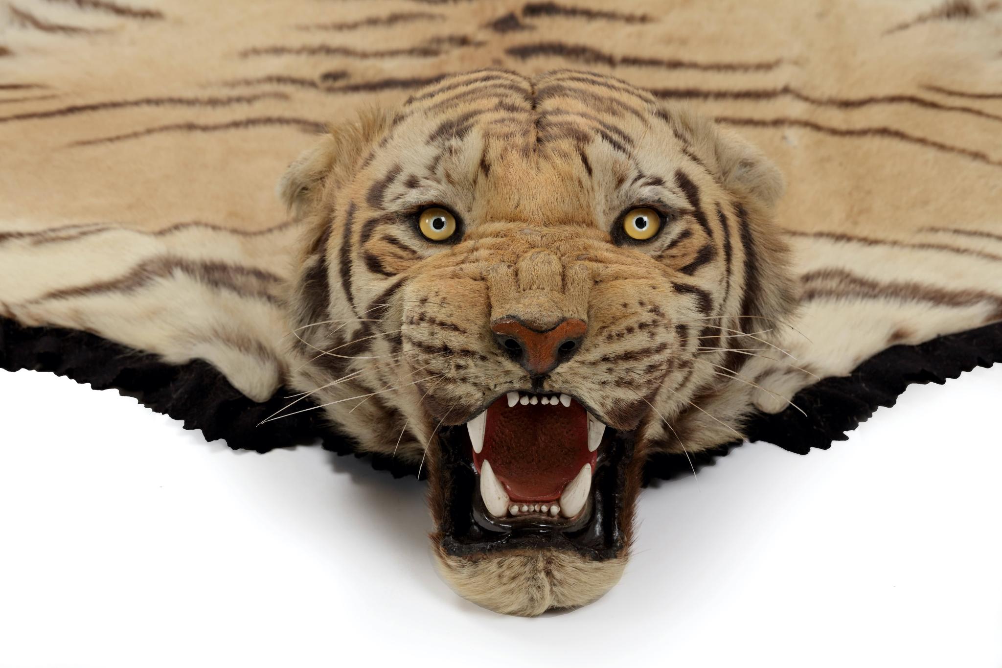 Van Ingen & Van Ingen of Mysore: Devine Taxidermists to the Maharajas
