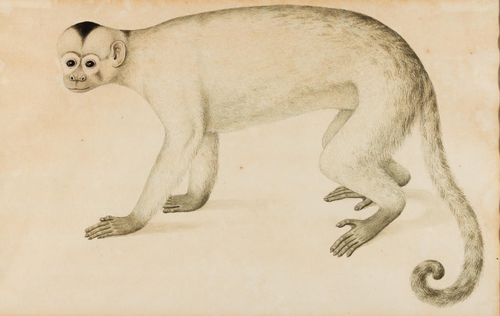 Attributed to Aloys Zötl (1803-1887)