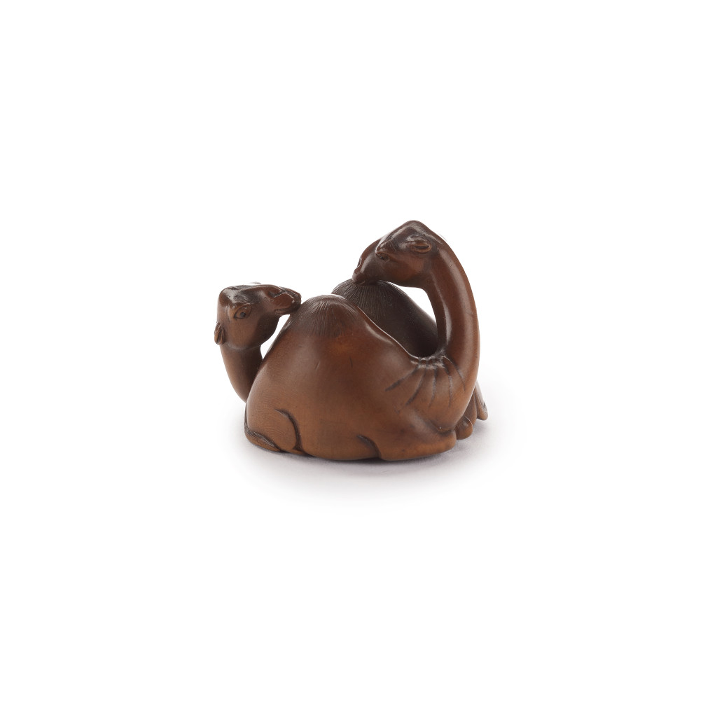 An exquisite prunus wood netsuke of ‘Blomhoff’s Dromedaries’ signed Bunpō