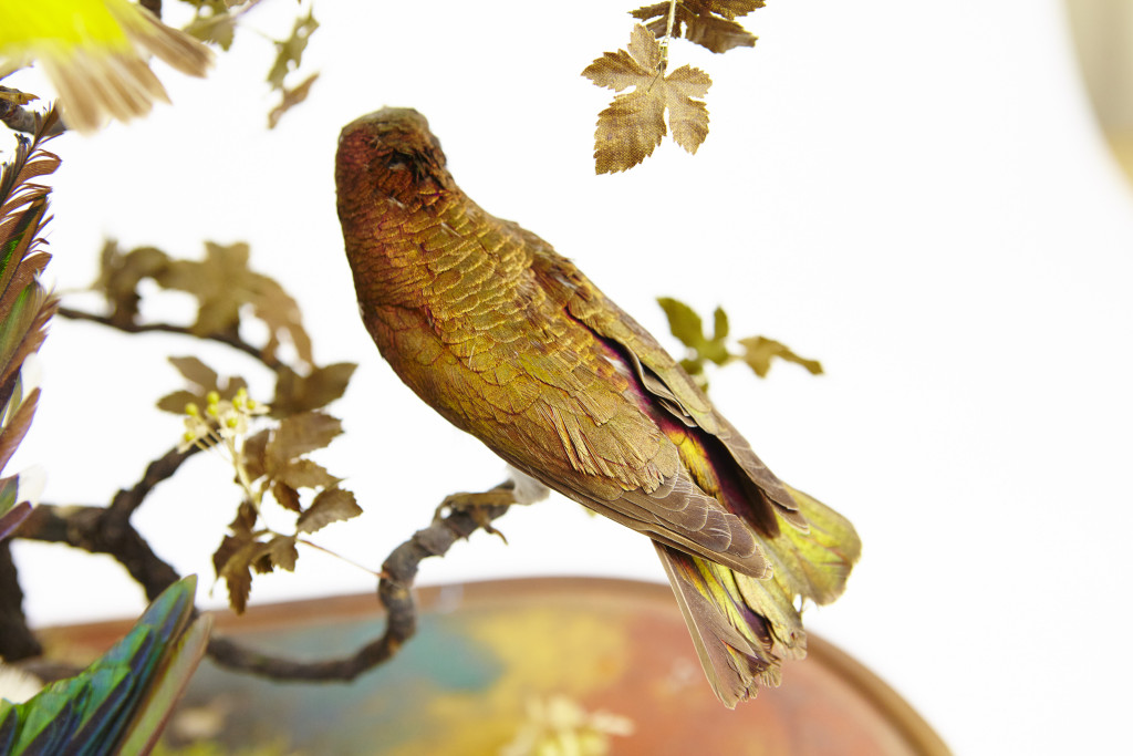 A large French glass dome with taxidermy tropical African birds