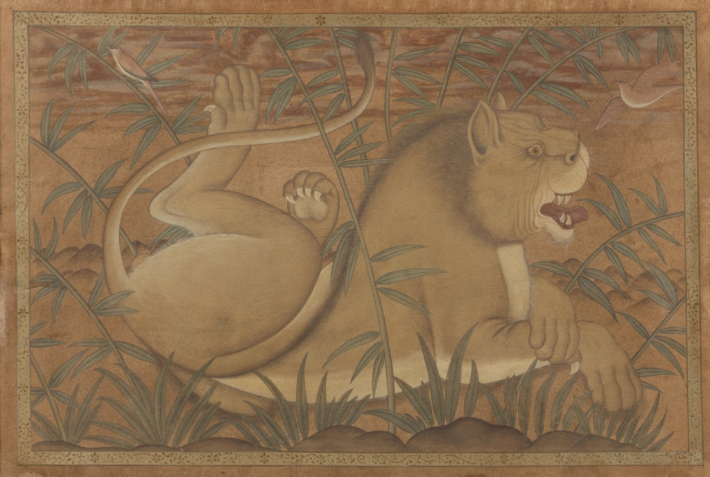 A Mughal painting of a 'Lion at rest’