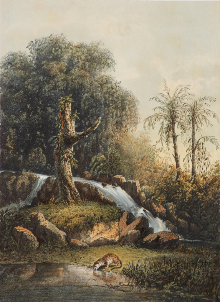 After Abraham Salm (1801-1876)