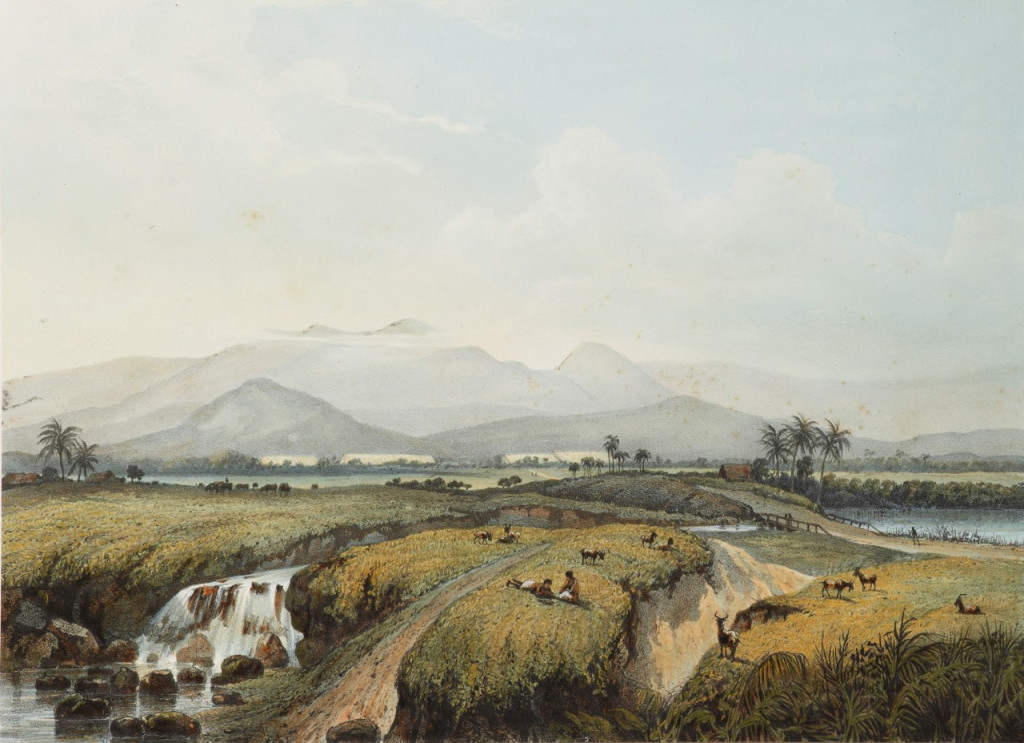 After Abraham Salm (1801-1876)