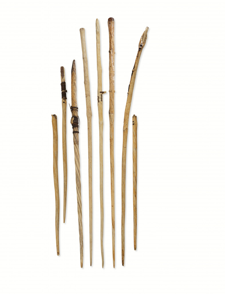 A collection of narwhal tusk Inuit hunting harpoons
