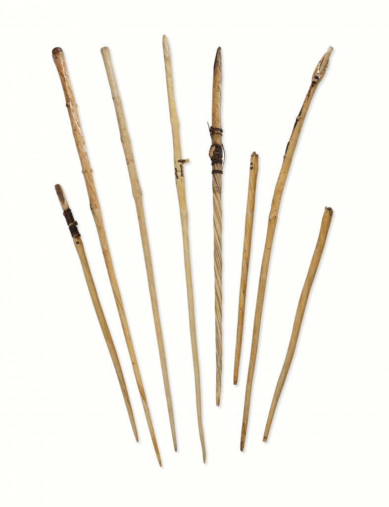 A collection of narwhal tusk Inuit hunting harpoons