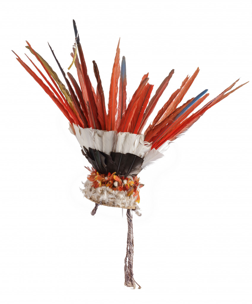 A Kayapó Amazon Indigenous feather men’s headdress