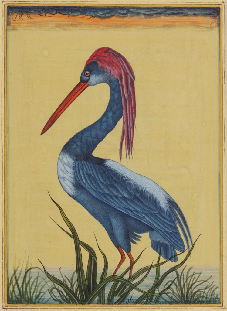 A series of ten miniature paintings depicting animals