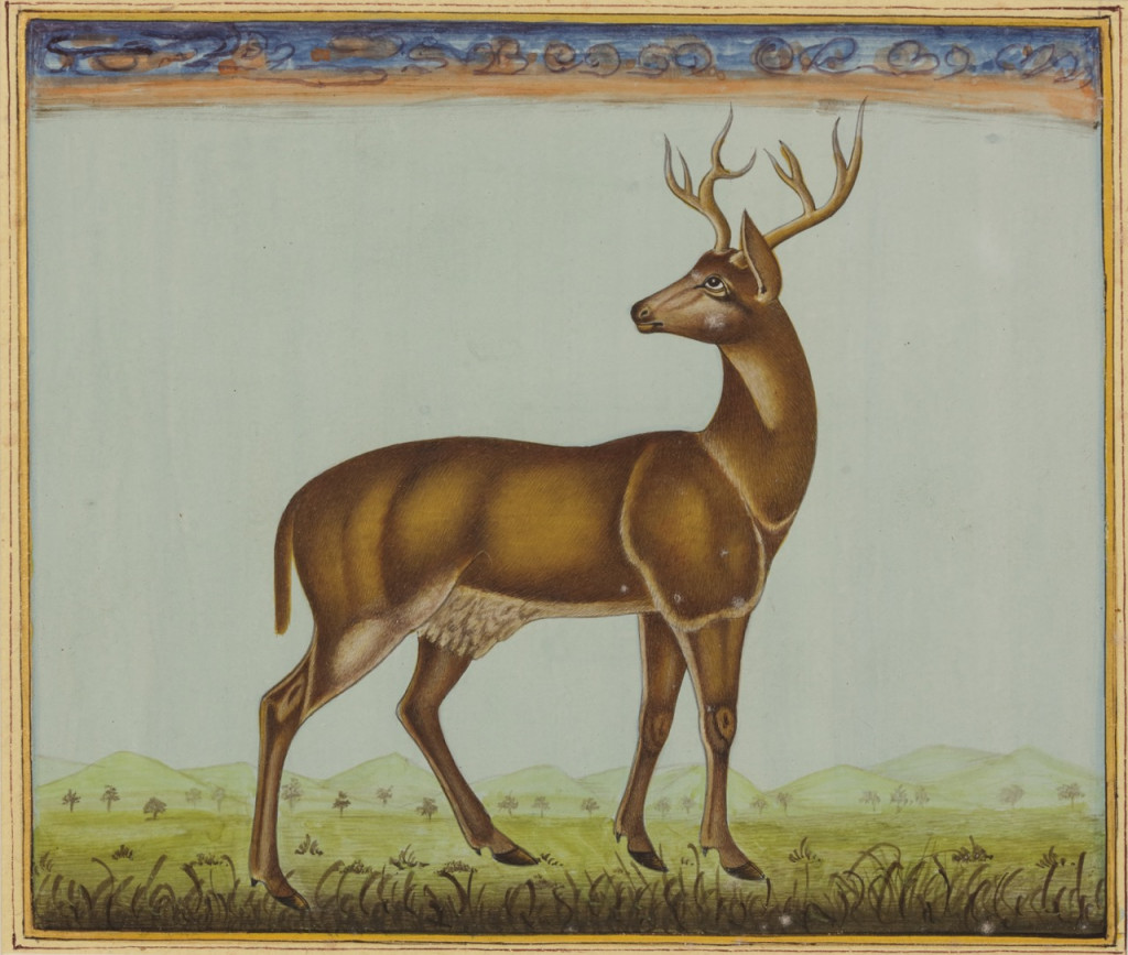 A series of ten miniature paintings depicting animals