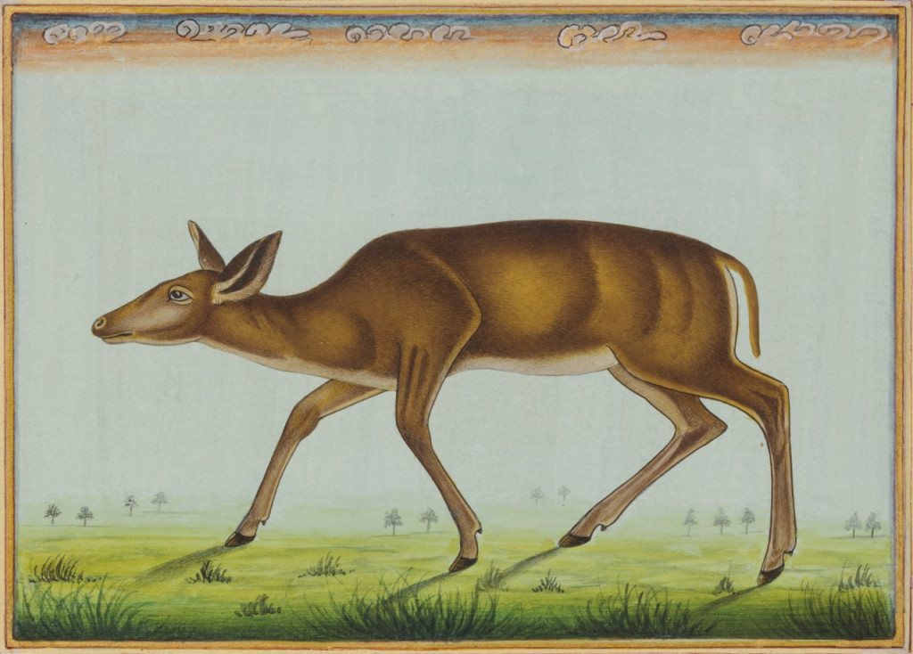 A series of ten miniature paintings depicting animals