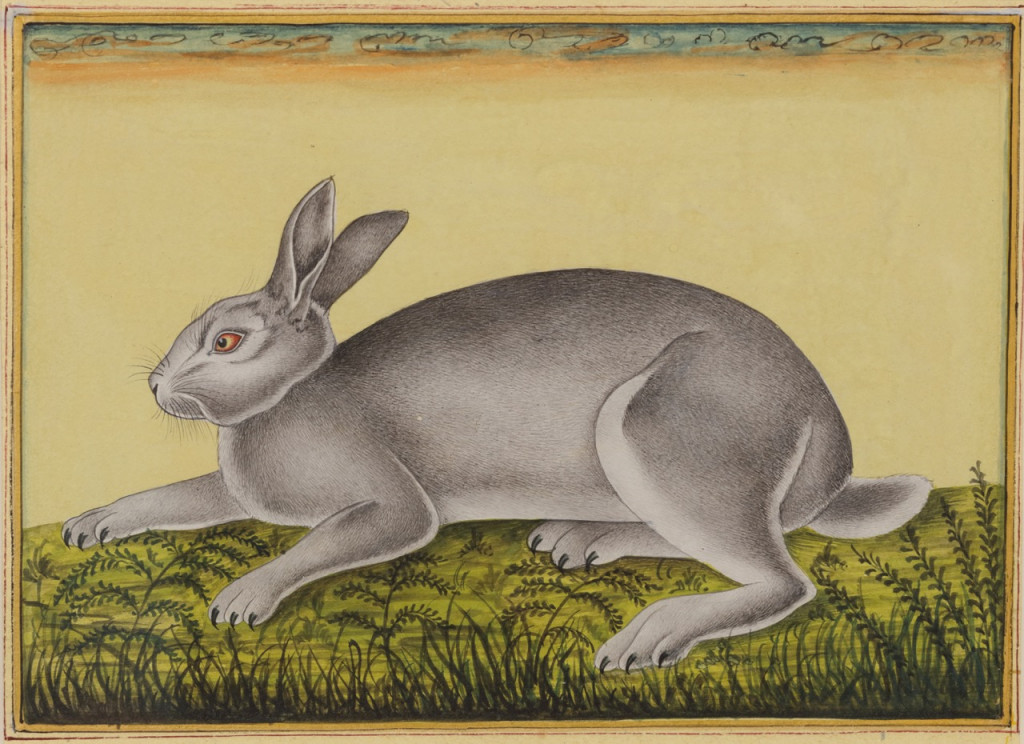 A series of ten miniature paintings depicting animals