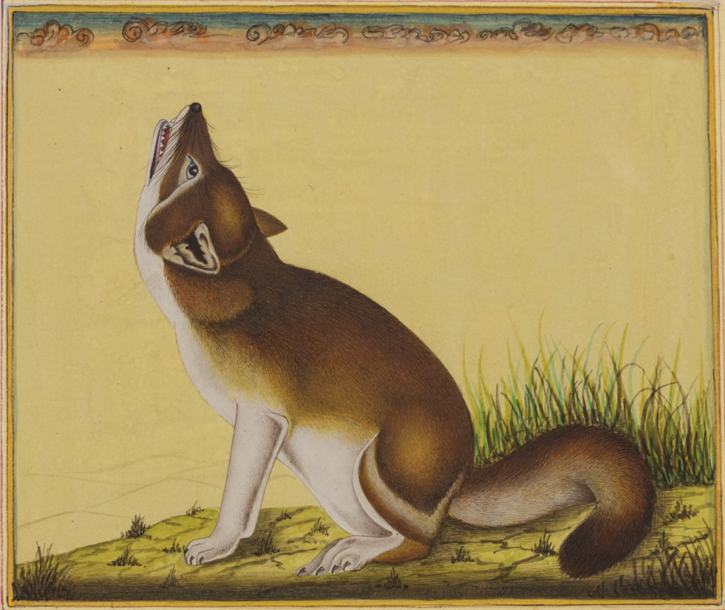 A series of ten miniature paintings depicting animals