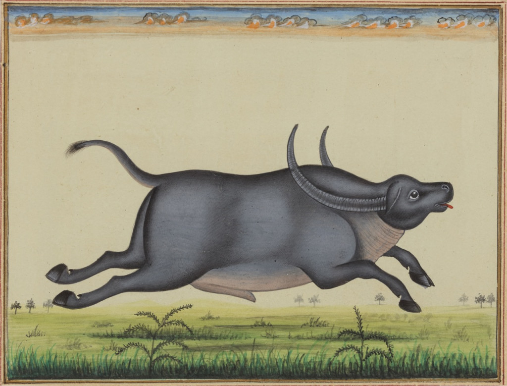 A series of ten miniature paintings depicting animals