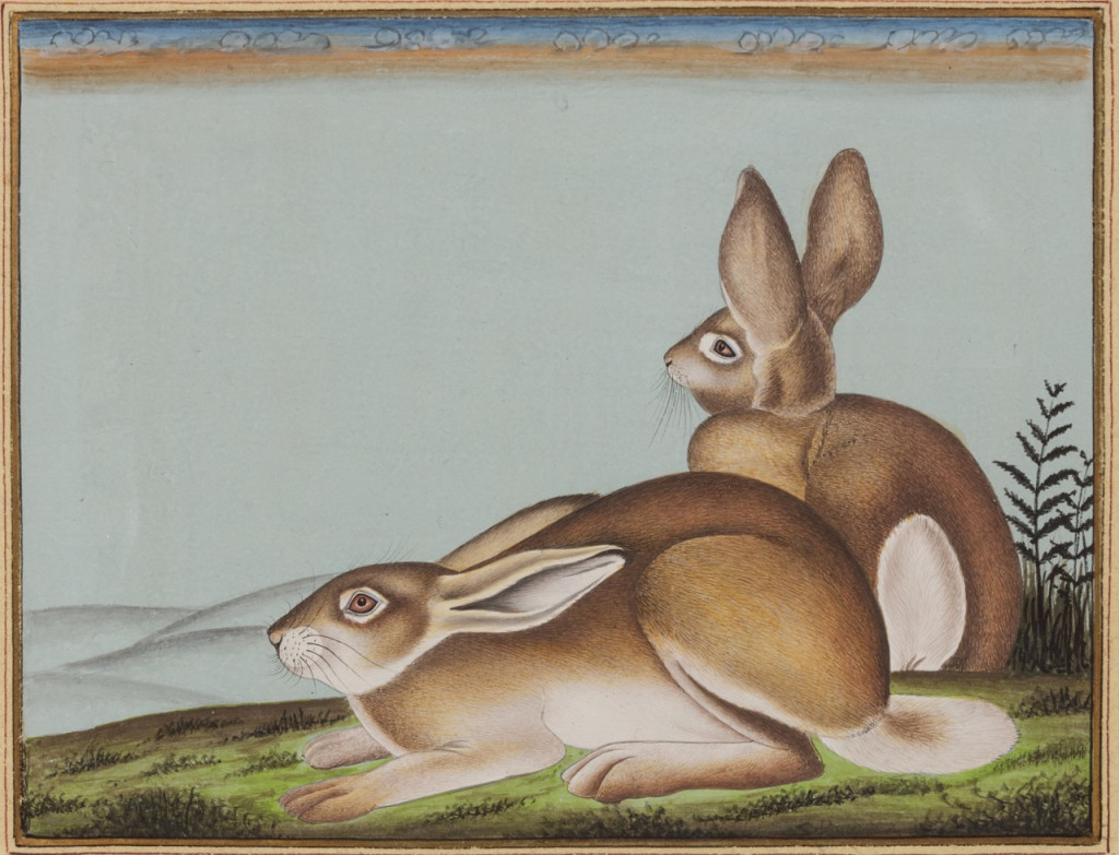 A series of ten miniature paintings depicting animals