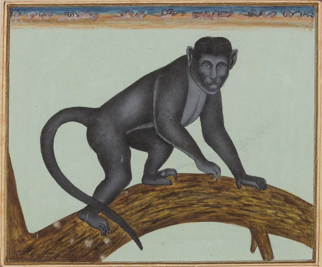A series of ten miniature paintings depicting animals