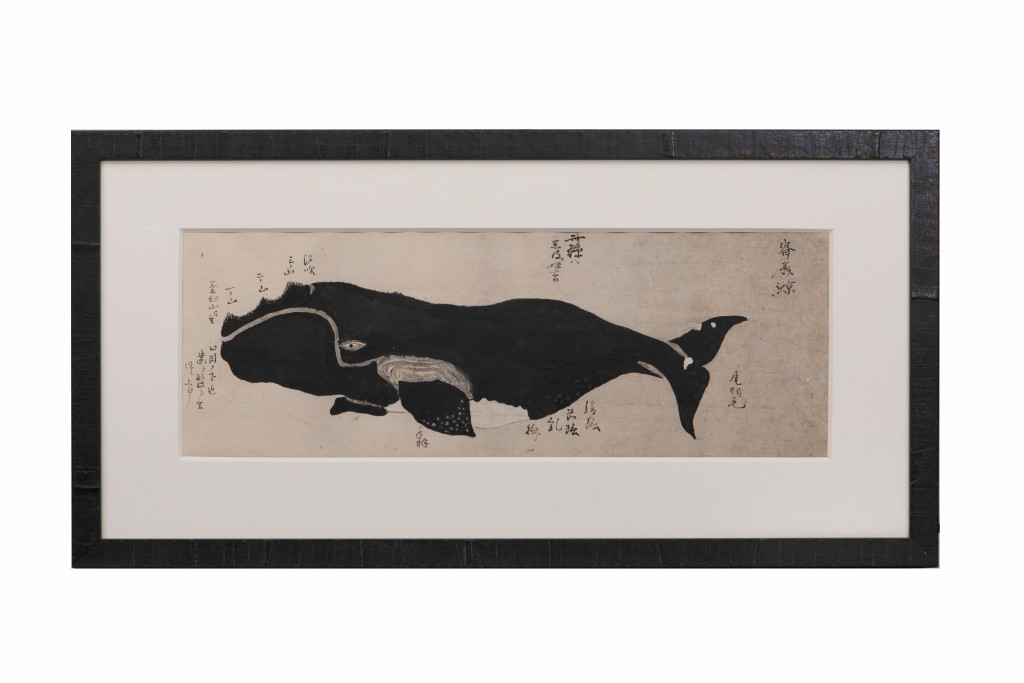 A series of eleven Japanese whale drawings in ink on paper
