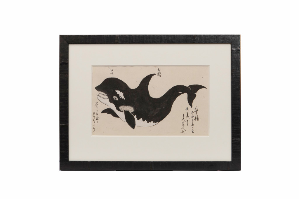 A series of eleven Japanese whale drawings in ink on paper