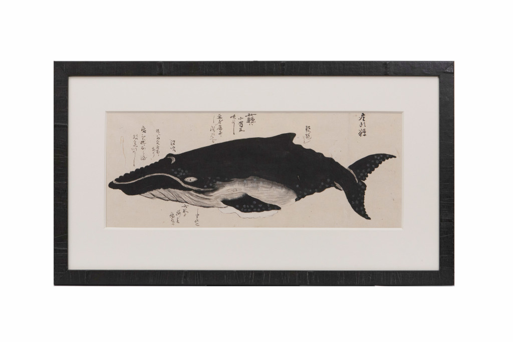 A series of eleven Japanese whale drawings in ink on paper