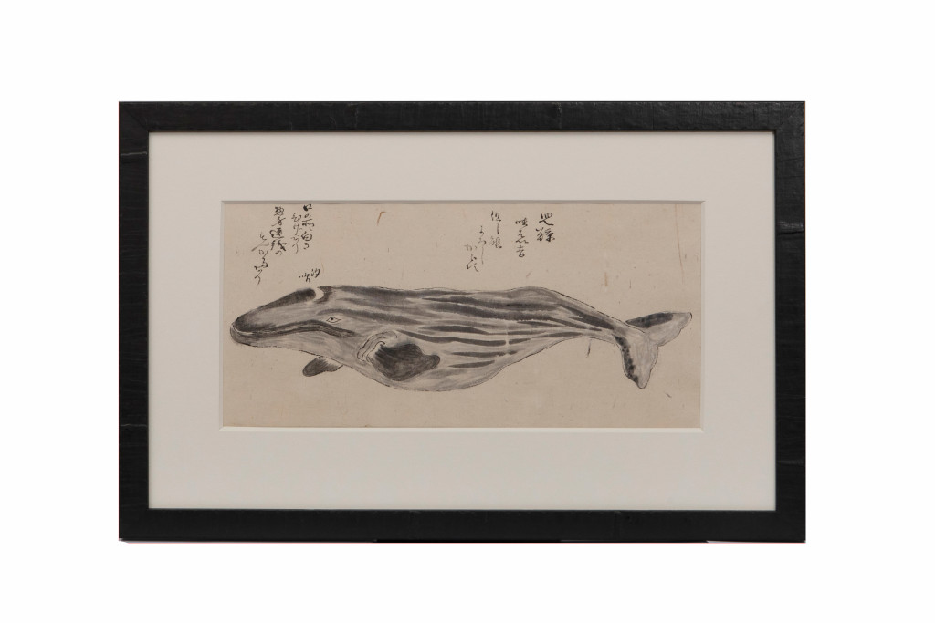 A series of eleven Japanese whale drawings in ink on paper