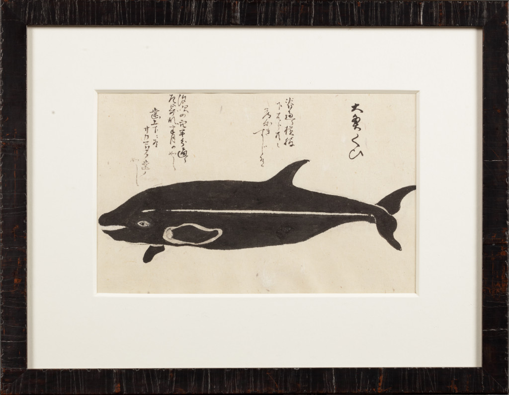 A series of eleven Japanese whale drawings in ink on paper
