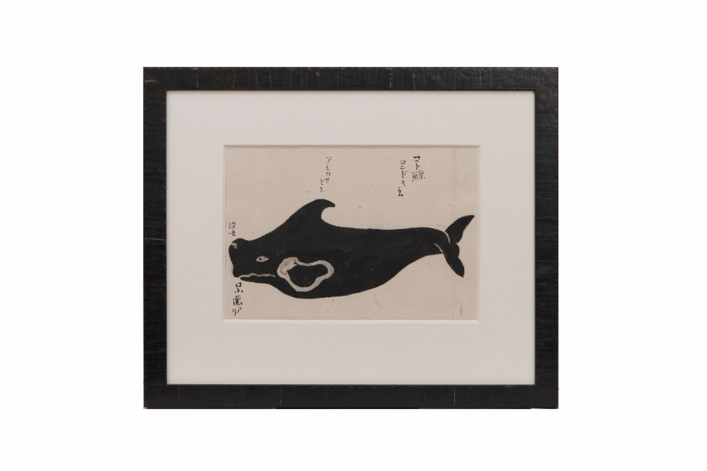 A series of eleven Japanese whale drawings in ink on paper