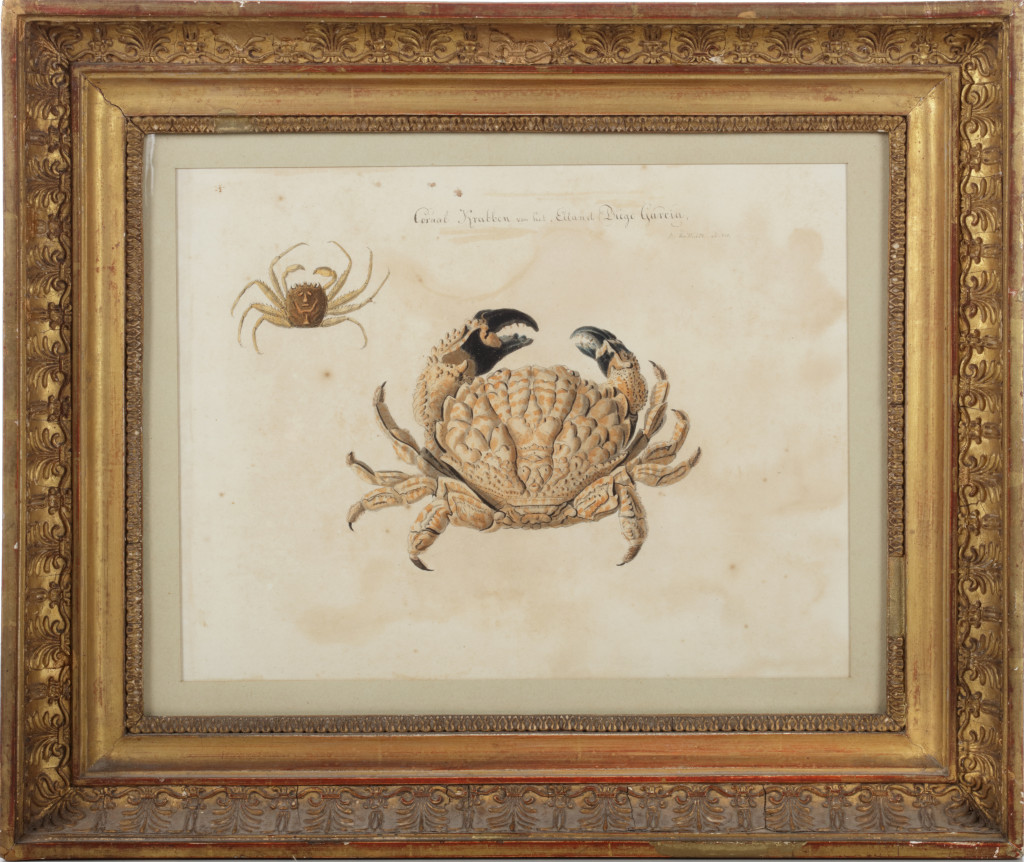Quirijn Maurits Rudolph VerHuell (1787-1860)