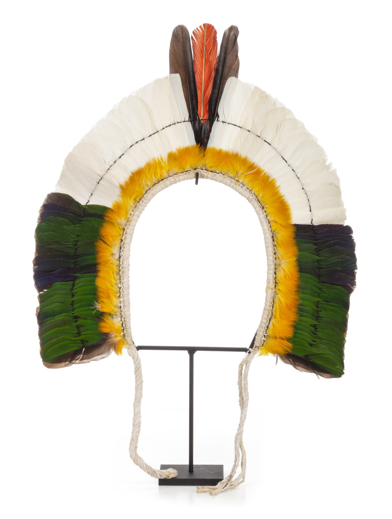 An Amazon Indigenous Kayapo feather headdress