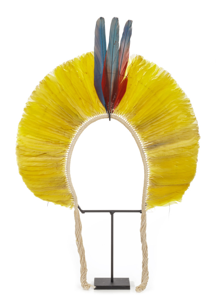 An Amazon Indigenous Kayapo feather headdress