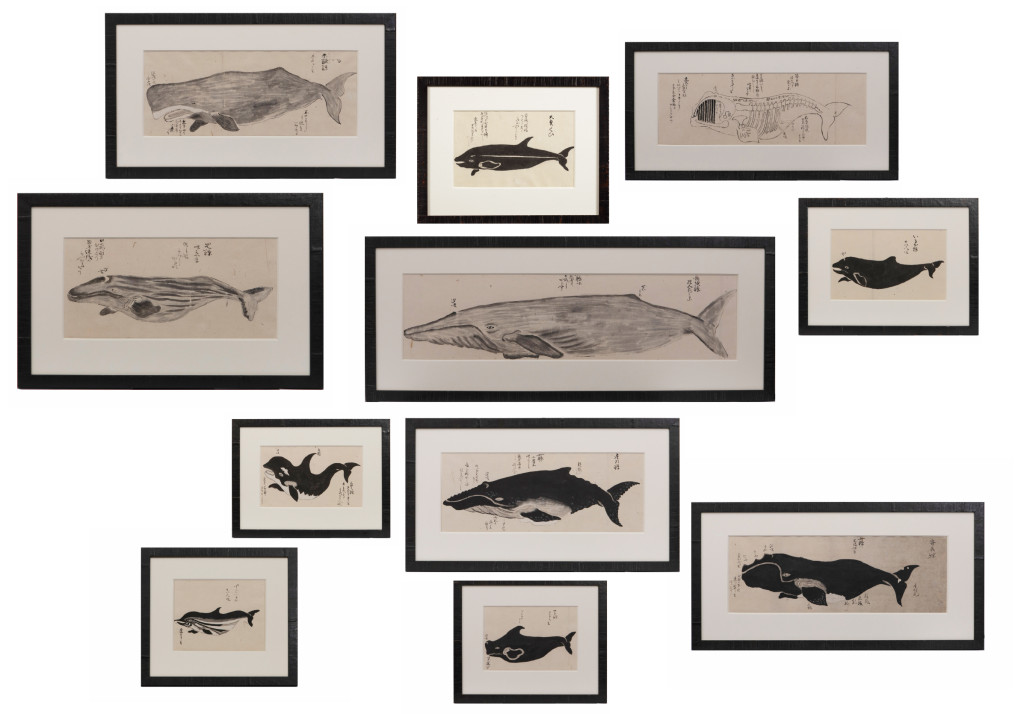 A series of eleven Japanese whale drawings in ink on paper