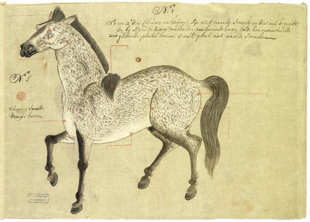 An important Japanese drawing of a Persian horse ordered by the Shogun  ‘Eene Eysche van den Keyser’ (the Emperor’s demand)