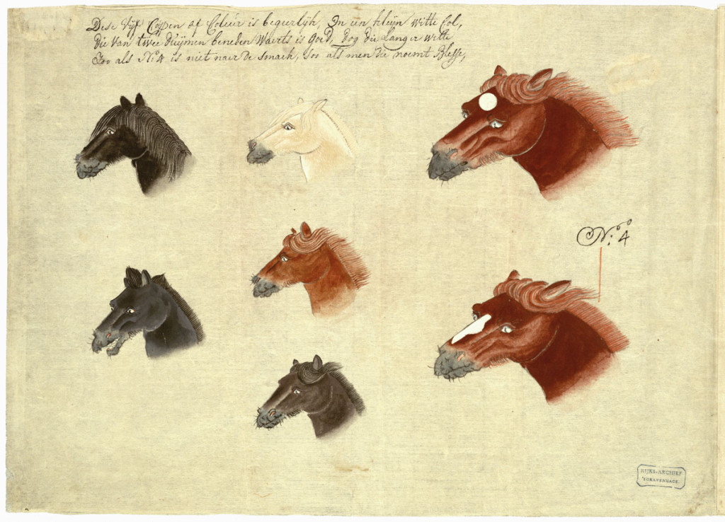 An important Japanese drawing of a Persian horse ordered by the Shogun  ‘Eene Eysche van den Keyser’ (the Emperor’s demand)