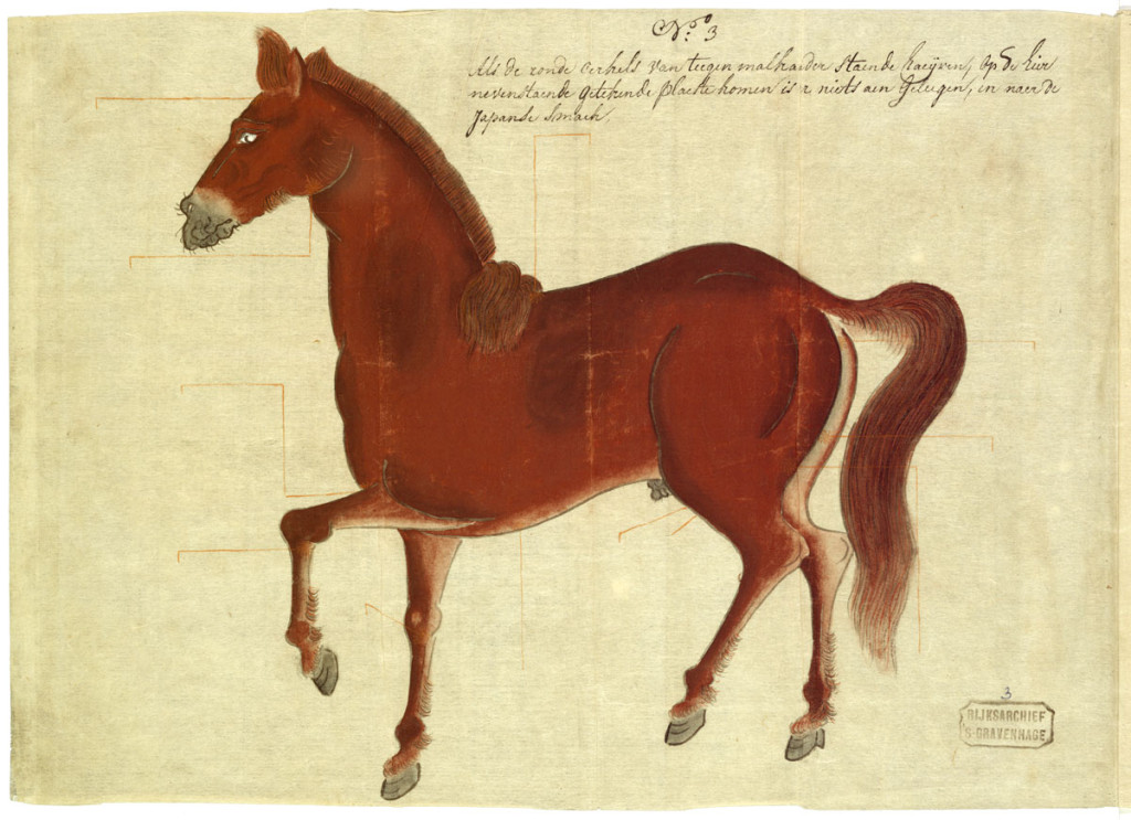 An important Japanese drawing of a Persian horse ordered by the Shogun  ‘Eene Eysche van den Keyser’ (the Emperor’s demand)