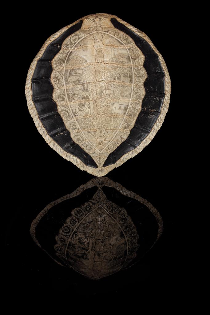 A carved seaturtle carapace