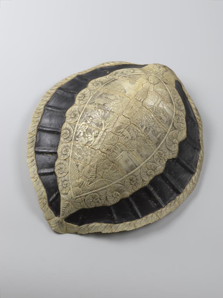 A carved seaturtle carapace