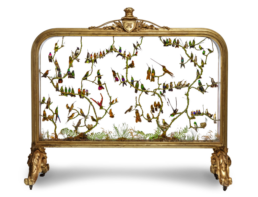 An exceptional and extremely rare victorian gilt-wood fire screen with taxidermy hummingbirds by and labelled for Henry Ward (1812-1878)