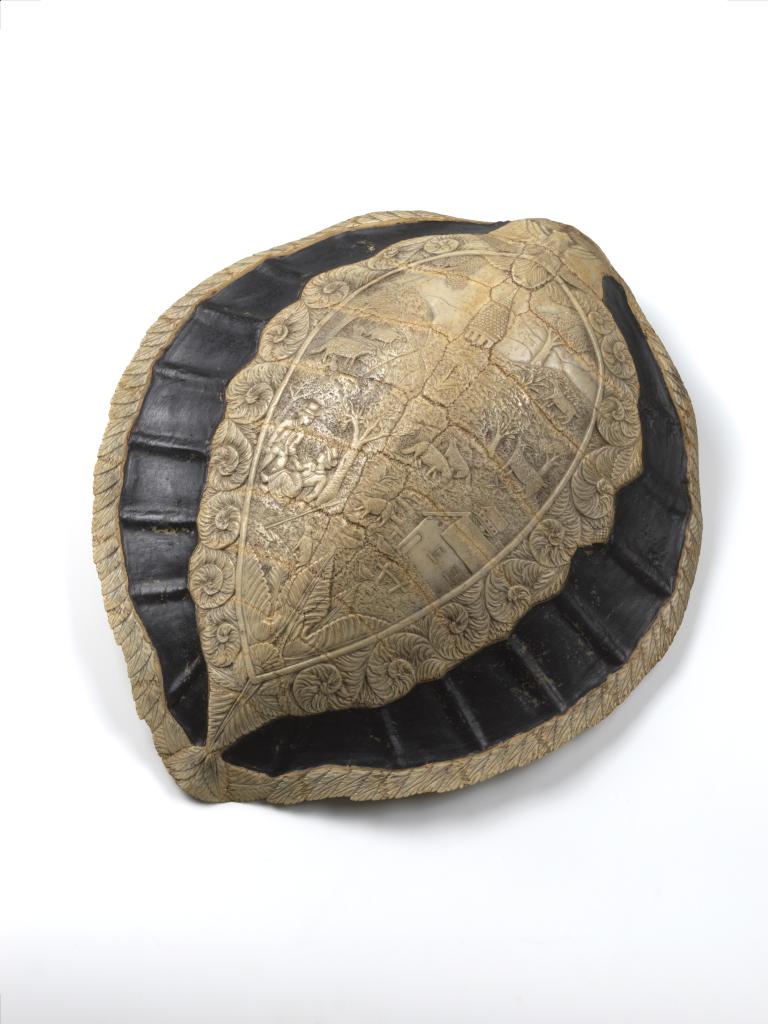 A carved seaturtle carapace